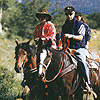 horses and riders
